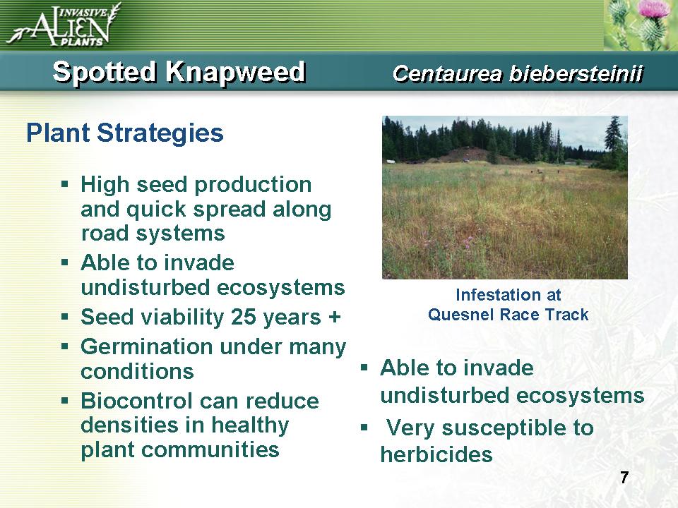 Invasive Plants Presentation slide