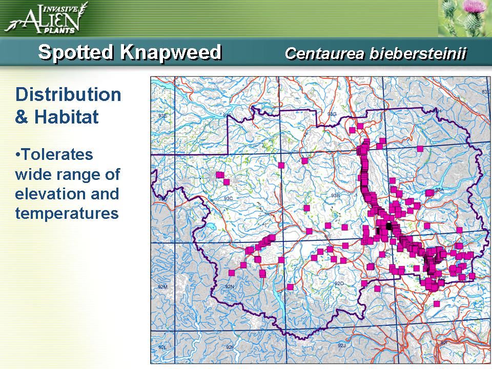 Invasive Plants Presentation slide